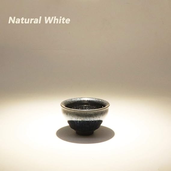 Aolyty 45w (85W Equivalent) PAR38 LED Bulb White 6000K 3500lm E26 Base 35 Degree Beam Angle Track Spotlight with Fan AC 120v